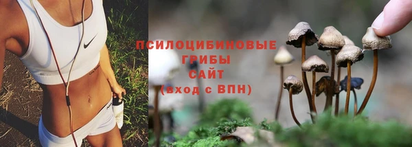гидропоника Корсаков