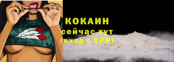 бошки Краснослободск