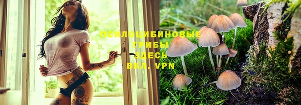 MDMA Premium VHQ Красноперекопск