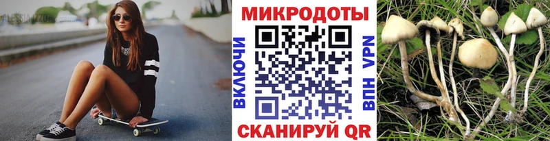Галлюциногенные грибы ЛСД  МЕГА ССЫЛКА  Краснознаменск  цены наркотик 